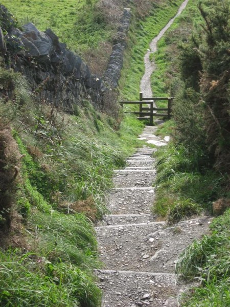 wanderweg, cornwall - (c) c duecker.jpg